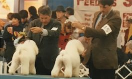 The Way We Were 1991